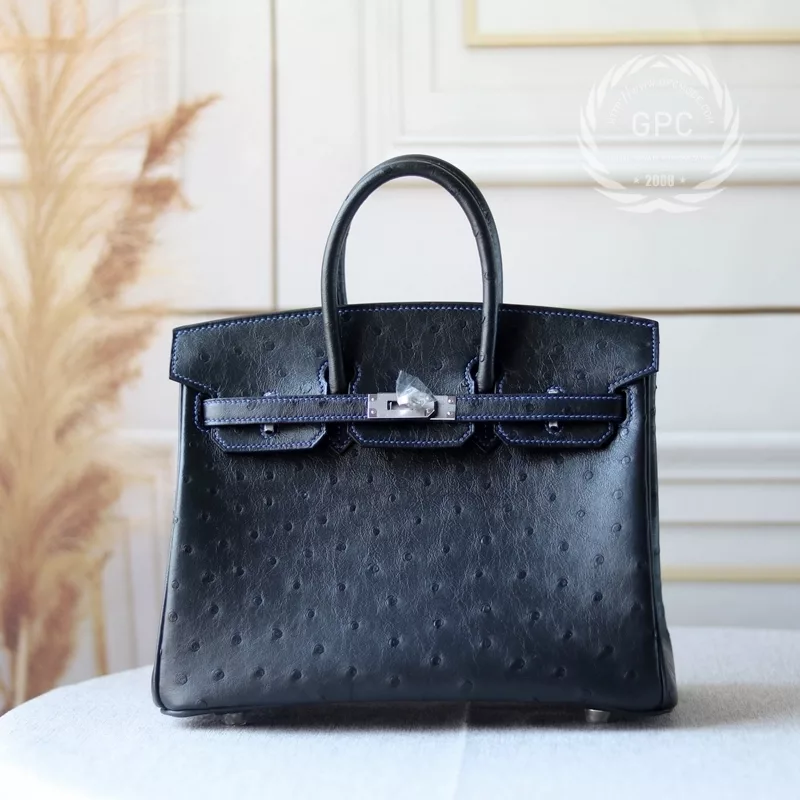 KK nior Ostrich and i7 bleu zellige interior with PHW