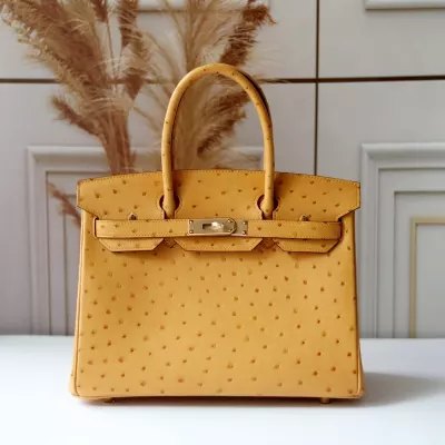 abricot ostrich birkin 30 with GHW