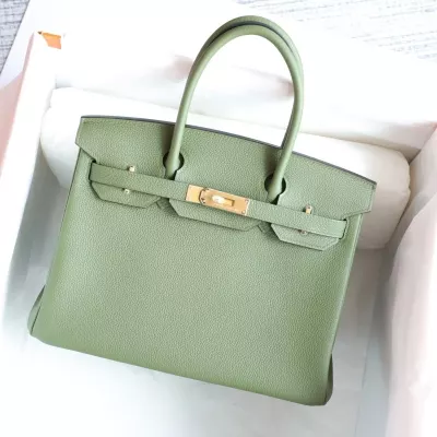 v6 Canoppe togo birkin 30 with ghw