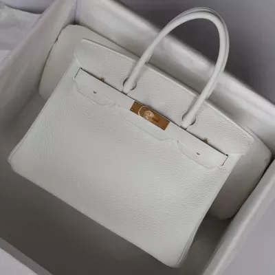 blanc and lime clemence birkin 30 with brushed gold hardware
