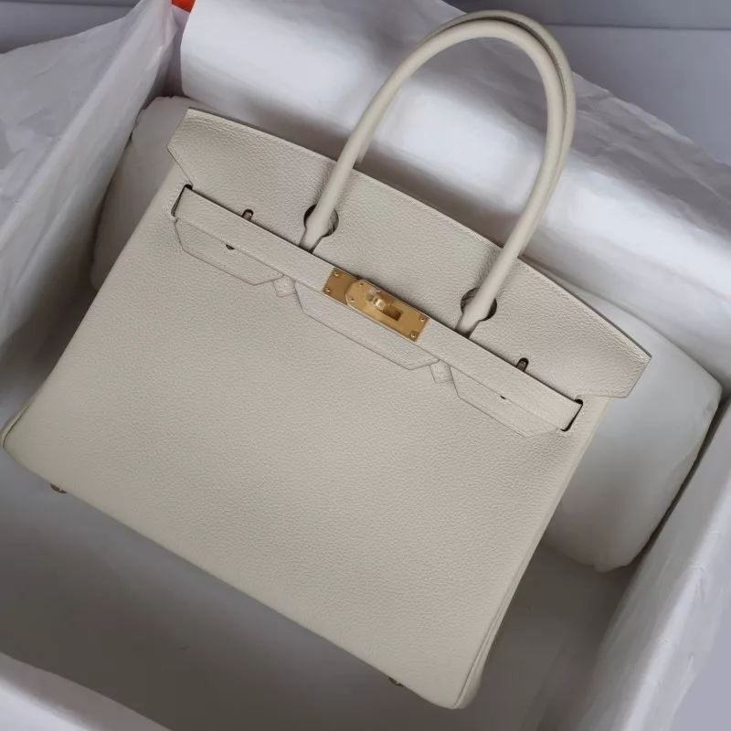 C10 Craie and anemone togo birkin 30 with brushed gold hardware