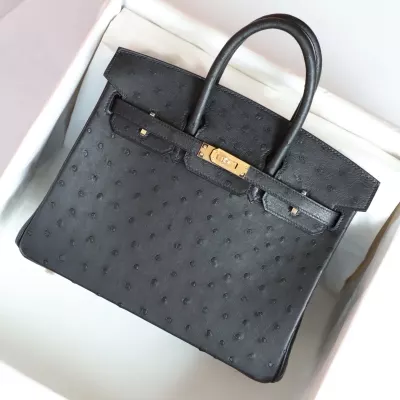 CK89 Nior ostrich birkin 25 with ghw