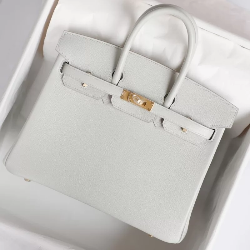 c80 gris pearl mysore and raisin interior birkin 25 with brushed gold hardware