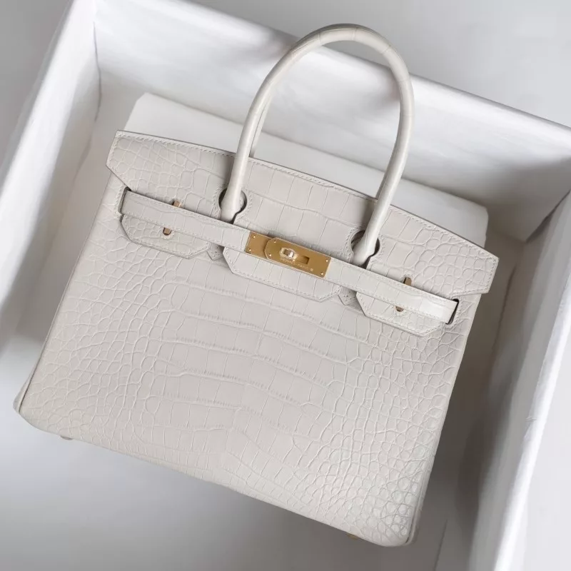 8L Beton aligator crocodile birkin 30 with ghw