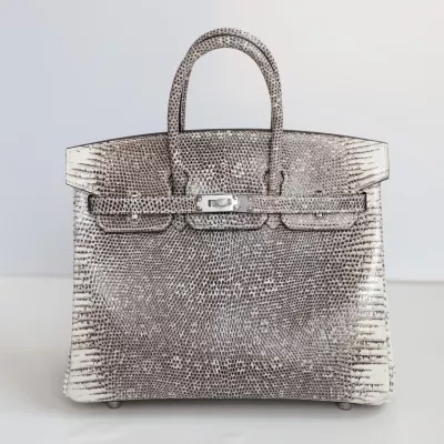 1B Ombre lizard birkin 25 retourne with phw