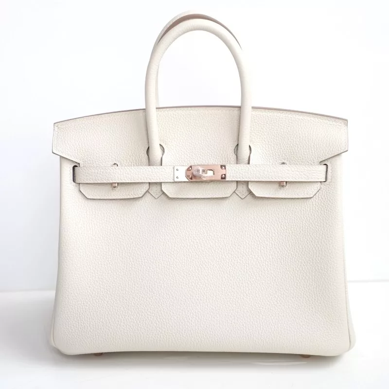 0T mushroom togo and BIeu Paradise interior birkin 25 with  rose gold hardware