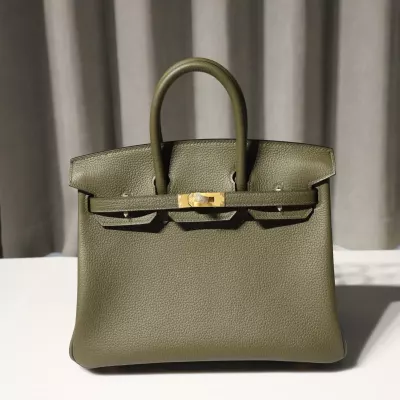 C6 Vert de Gris & trench Togo birkin25 with brushed ghw