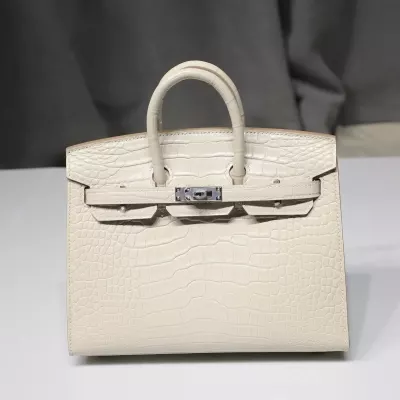 8L Beton Birkin 20 sellier Aligator Matte Crocodile With PHW
