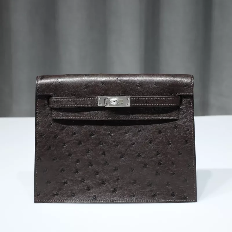 47 ChocoIate ostrich danse mini with phw