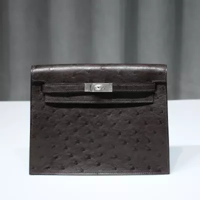 47 ChocoIate ostrich danse mini with phw