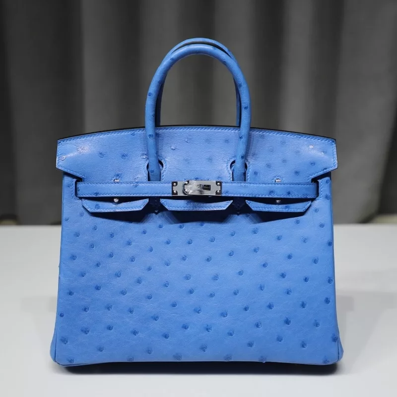 7Q Mykonos KK ostrich birkin 25 with PHW