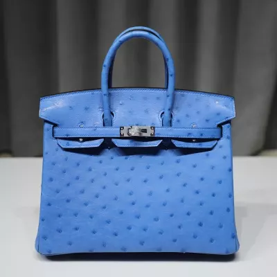7Q Mykonos KK ostrich birkin 25 with PHW