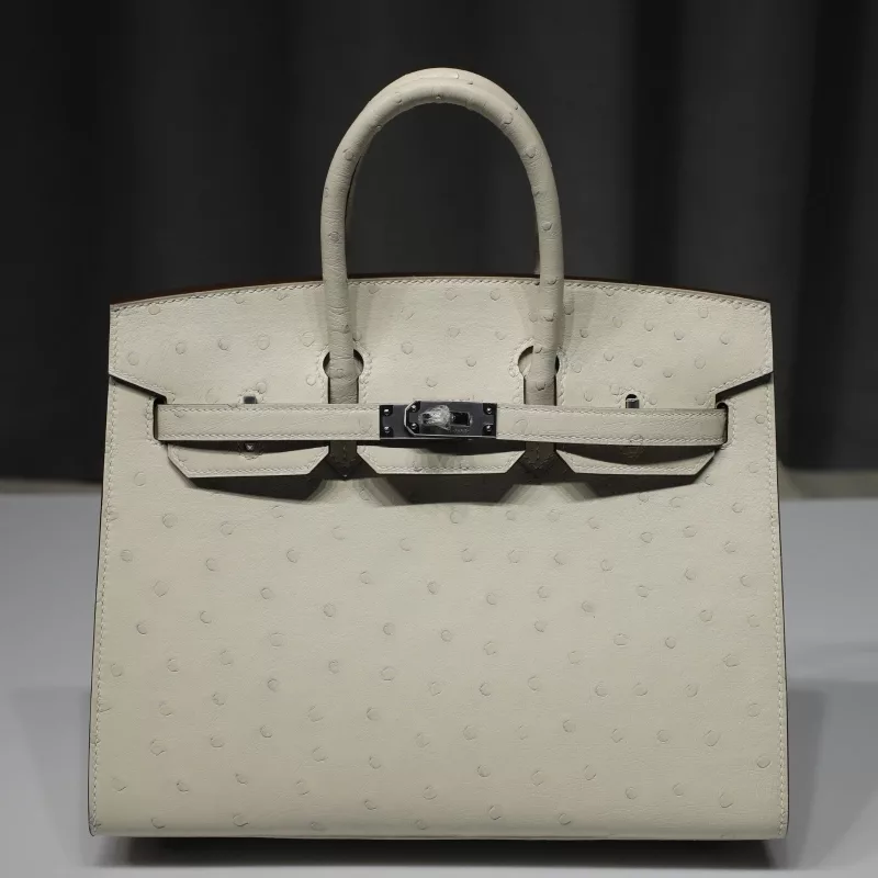 I2 Nata Ostrich Birkin 25 With PHW Sellier