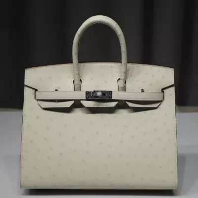 I2 Nata Ostrich Birkin 25 With PHW Sellier