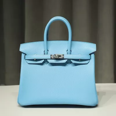 7N blue celeste Cherve Mysore Birkin 25 With PHW