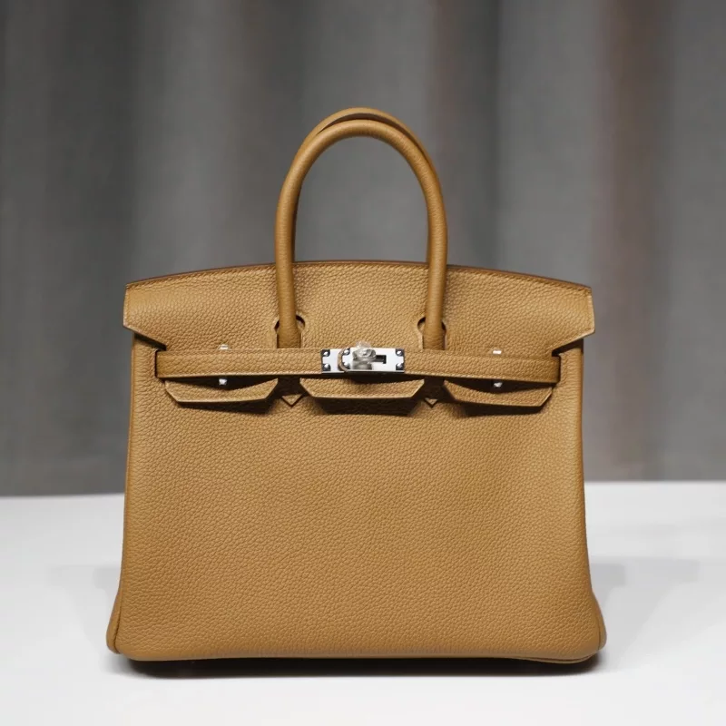 3G AIezan Togo Birkin 25 With Phw