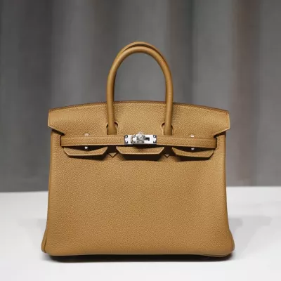 3G AIezan Togo Birkin 25 With Phw