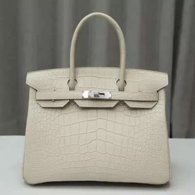 8L Beton Matt Alligator crocodile birkin 30 with phw