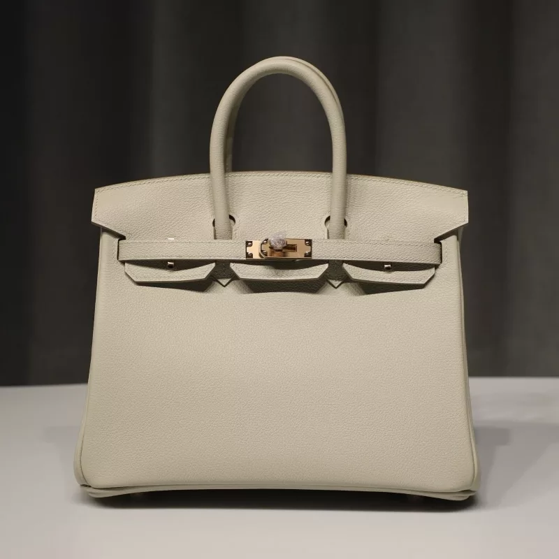 C80 Gris Pearl Evercolor Birkin 25 with RGHW