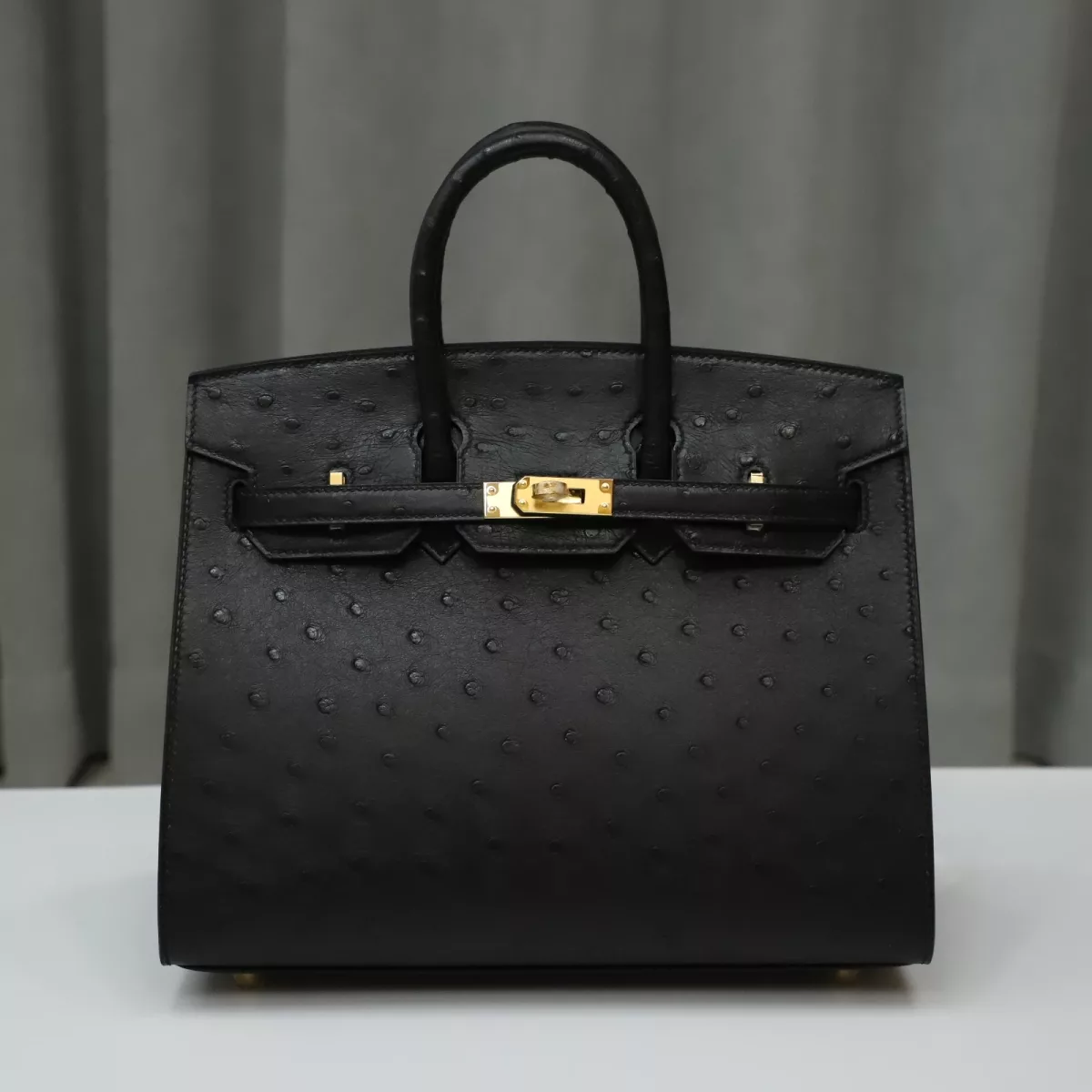CK89 Nior ostrich sellier birkin 25 with ghw