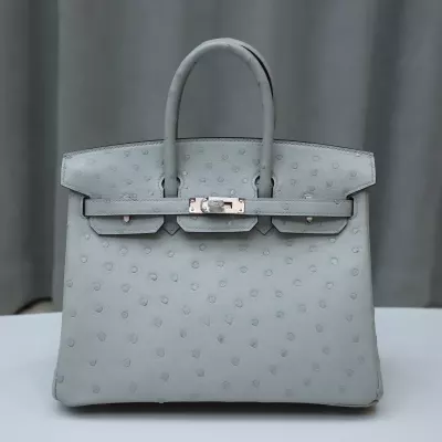 8U BIue GIacier Ostrich Birkin 25 With PHW