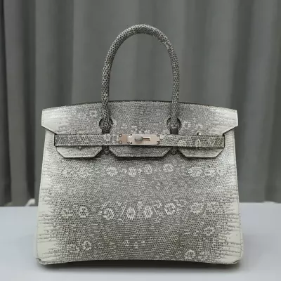 ombre lizard birkin 30 phw