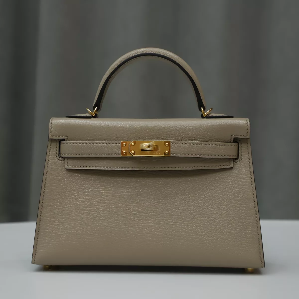 81 Gris TourtereIIe cherve mysore kelly mini II with GHW