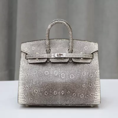 1B Ombre Lizard Birkin 20 Sellier With PHW