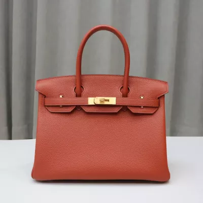 6C Cuivre Clemence birkin 30 with Brushed GHW