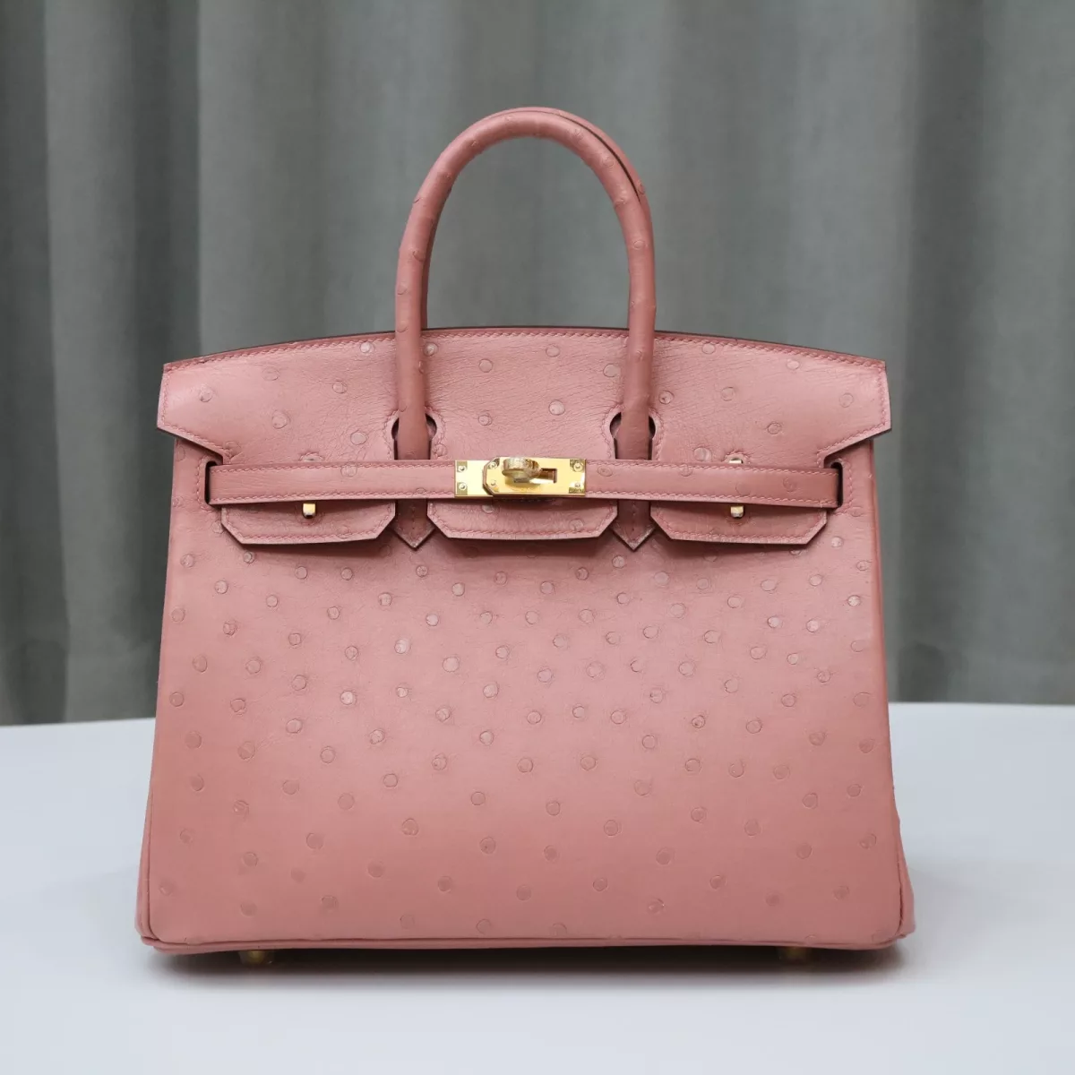 Terre Cuite ostrich birkin 25 with ghw