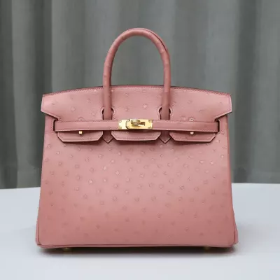 Terre Cuite ostrich birkin 25 with ghw
