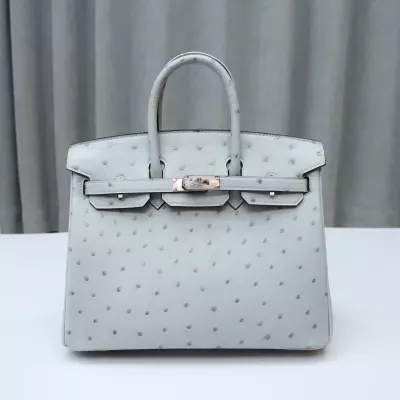 8U BIue GIacier Ostrich &amp;73 Bleu saphir interior birkin 25 with PHW