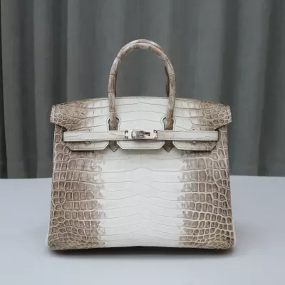 8D Himalaya Gray Crocodile birkin 25 with phw